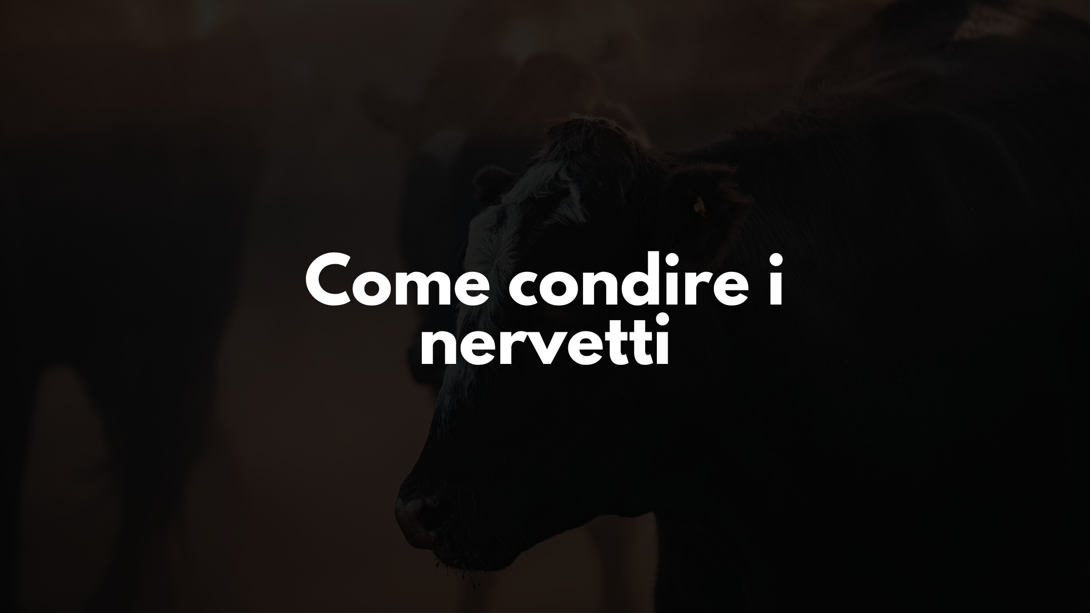 Una foto di un bovino su come condire i nervetti